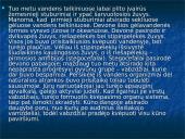 Devono  gyvi  organizmai 14 puslapis