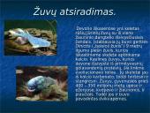 Devono  gyvi  organizmai 15 puslapis