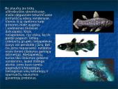 Devono  gyvi  organizmai 16 puslapis