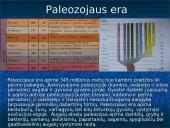 Devono  gyvi  organizmai 3 puslapis