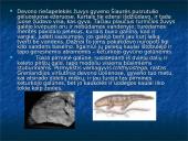 Devono  gyvi  organizmai 8 puslapis