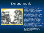 Devono  gyvi  organizmai 9 puslapis