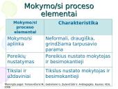 Didaktikos menas 13 puslapis