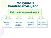 Didaktikos menas 20 puslapis
