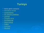 Dieviškoji proporcija. Aukso pjūvis 2 puslapis