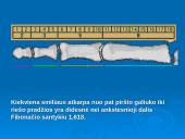 Dieviškoji proporcija. Aukso pjūvis 15 puslapis