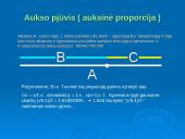 Dieviškoji proporcija. Aukso pjūvis 3 puslapis