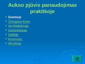 Dieviškoji proporcija. Aukso pjūvis 8 puslapis
