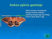 Dieviškoji proporcija. Aukso pjūvis 9 puslapis