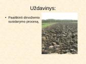 Dirvožemio susidarymas 2 puslapis