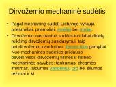 Dirvožemio susidarymas 13 puslapis