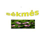 Dirvožemio susidarymas 15 puslapis