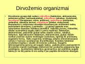 Dirvožemio susidarymas 3 puslapis