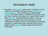 Dirvožemio susidarymas 6 puslapis
