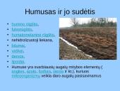 Dirvožemio susidarymas 7 puslapis