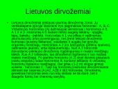 Dirvožemio susidarymas 8 puslapis