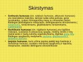 Dirvožemio susidarymas 9 puslapis
