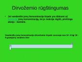 Dirvožemio susidarymas 10 puslapis