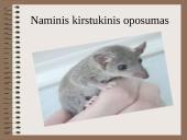 Drėgnieji miškai 12 puslapis