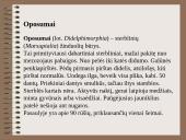 Drėgnieji miškai 13 puslapis