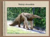 Drėgnieji miškai 14 puslapis