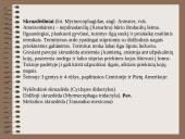 Drėgnieji miškai 15 puslapis