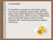 Drėgnieji miškai 7 puslapis