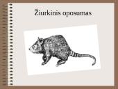 Drėgnieji miškai 9 puslapis