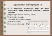 Duomenų bazės ir informacijos sistemos 12 puslapis