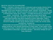 E. Balsys "Eglė - žalčių karalienė" 5 puslapis