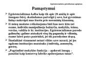 Egzistencializmas kaip ugdymo filosofinis pagrindas 12 puslapis