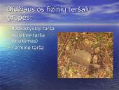 Antropogeninės ekosistemos ir jų poveikis gamtai   11 puslapis