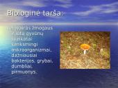 Antropogeninės ekosistemos ir jų poveikis gamtai   12 puslapis