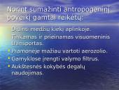 Antropogeninės ekosistemos ir jų poveikis gamtai   16 puslapis