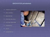 Ekovata – organinė termoizoliacinė medžiaga 13 puslapis