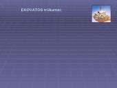 Ekovata – organinė termoizoliacinė medžiaga 14 puslapis