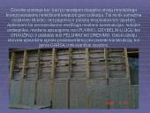 Ekovata – organinė termoizoliacinė medžiaga 4 puslapis