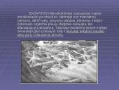 Ekovata – organinė termoizoliacinė medžiaga 7 puslapis