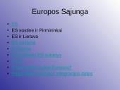 ES ir Lietuva 2 puslapis