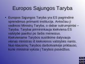 ES ir Lietuva 5 puslapis