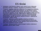 ES ir Lietuva 10 puslapis