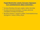 Europos Sąjunga ir jos organizacijos 3 puslapis