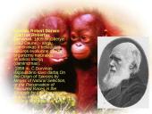 Didysis sprogimas 12 puslapis