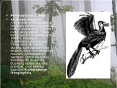 Didysis sprogimas 10 puslapis