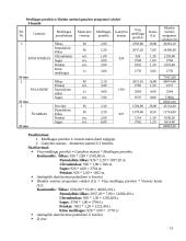 Verslo planas "Apranga" 13 puslapis