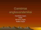 Gamtiniai angliavandeniliai. Nafta 3 puslapis