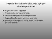 Garsiausios Lietuvos siuvimo įmonės 8 puslapis