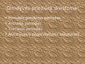 Gimdyvės priežiūra 2 puslapis