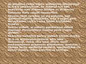 Gimdyvės priežiūra 4 puslapis