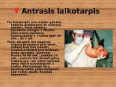 Gimdyvės priežiūra 7 puslapis